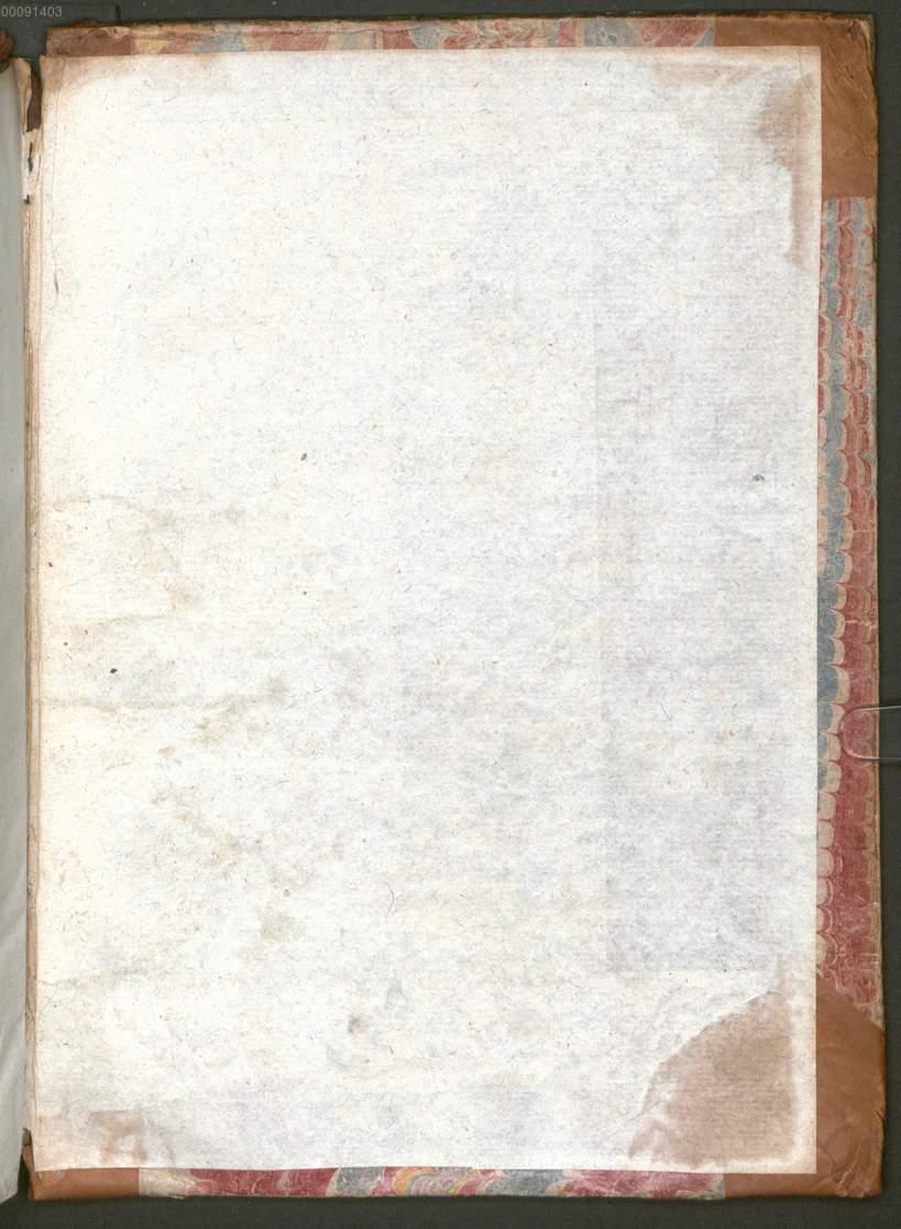 Image 00213