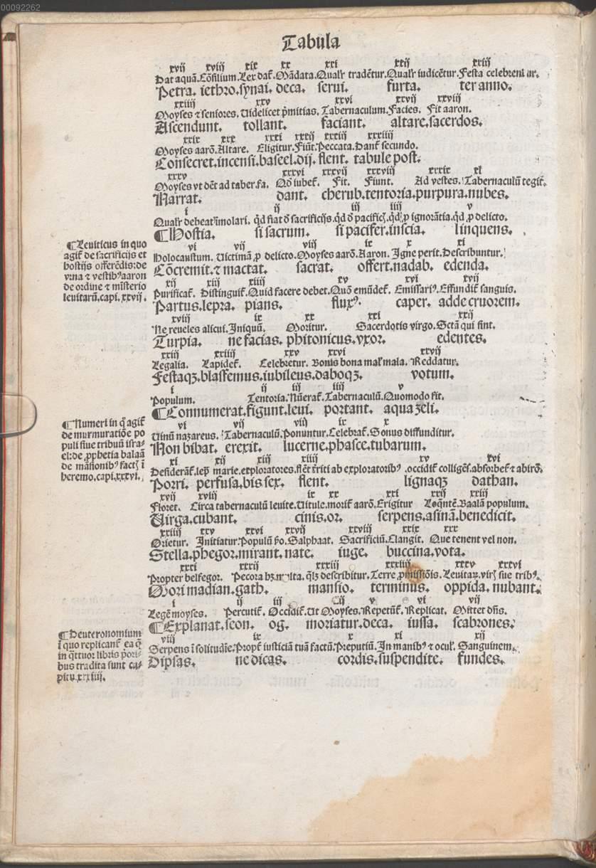 Image 00008