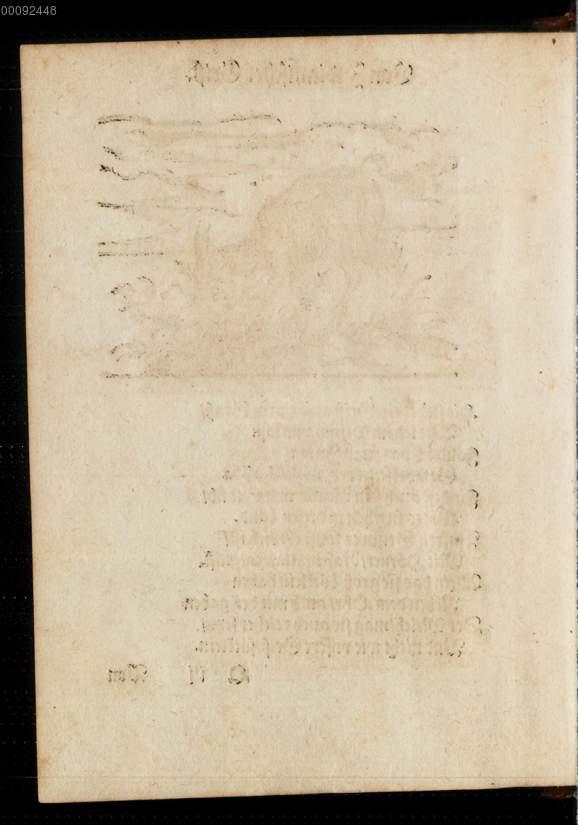 Image 00130