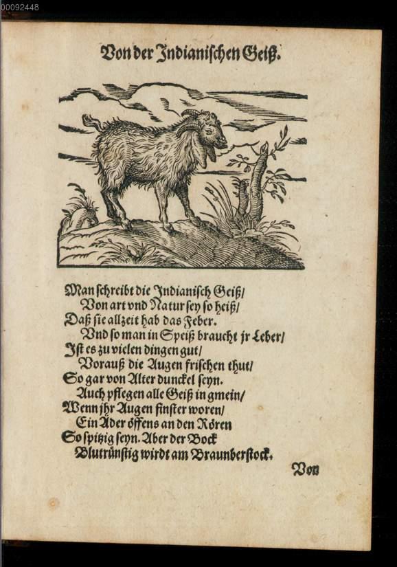 Image 00131