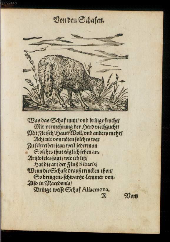 Image 00133
