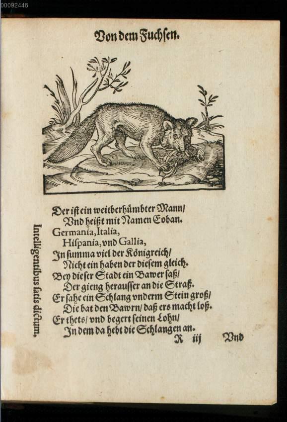 Image 00137