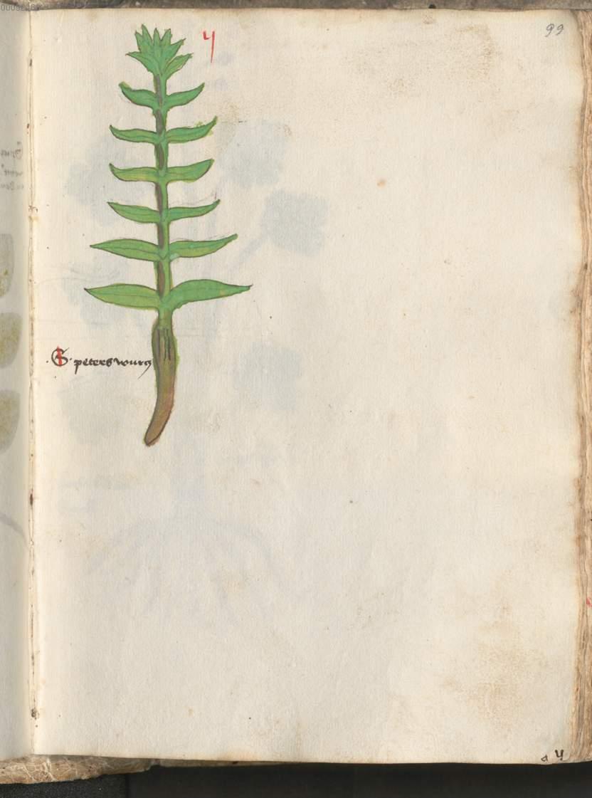 Image 00201