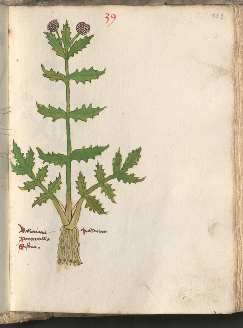 Image 00269