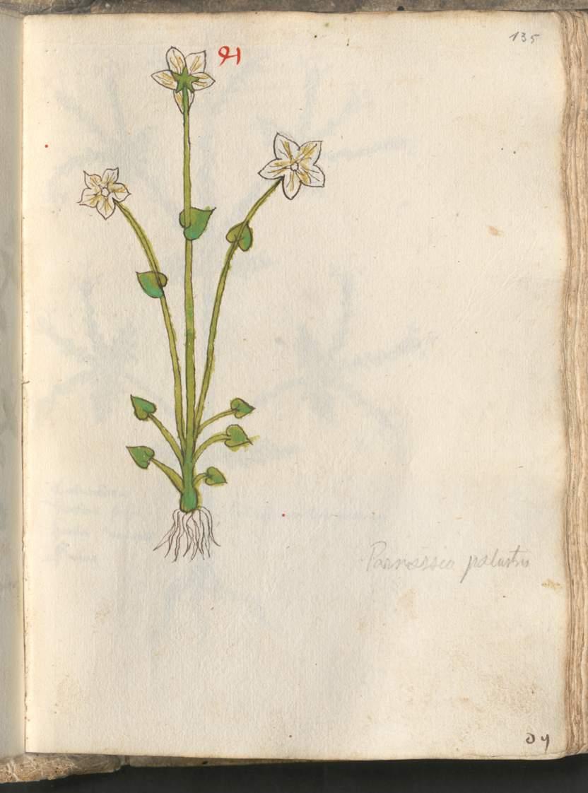 Image 00273