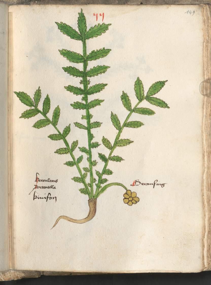 Image 00301