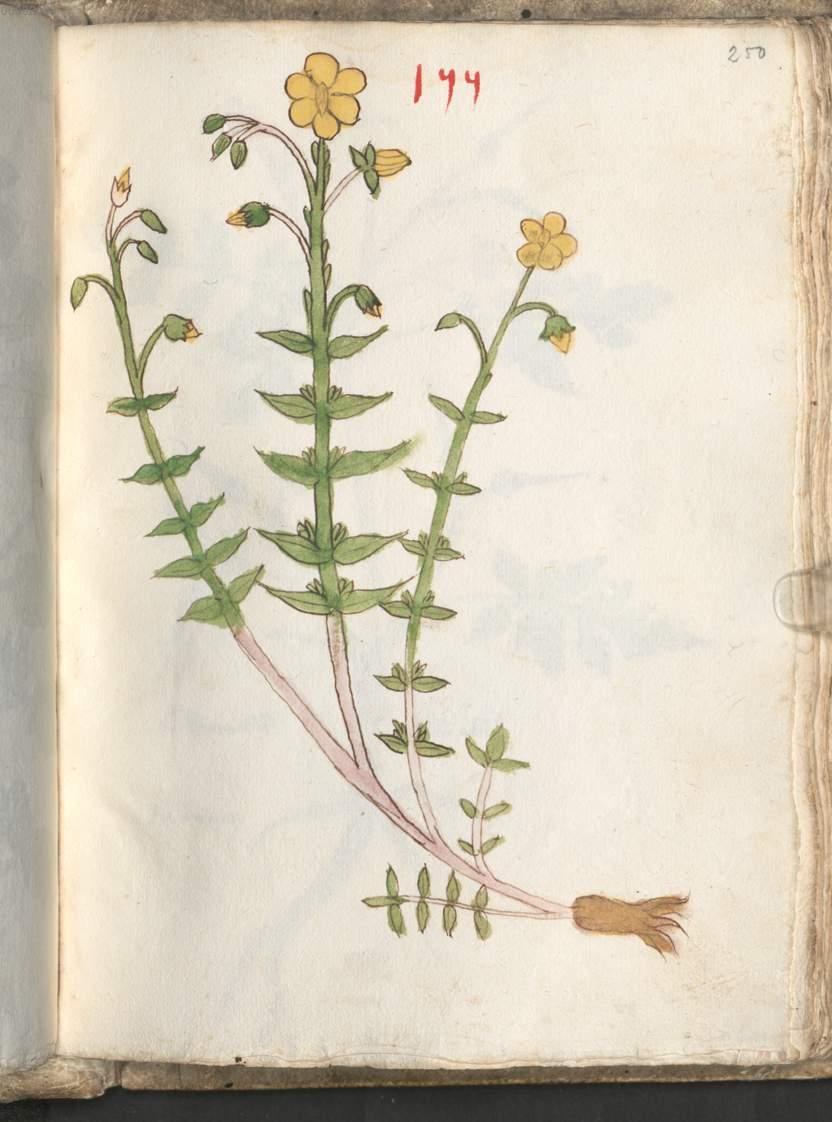 Image 00503