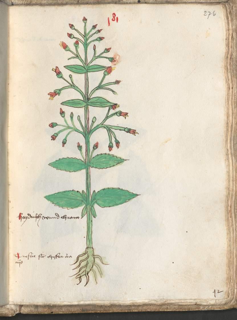 Image 00555