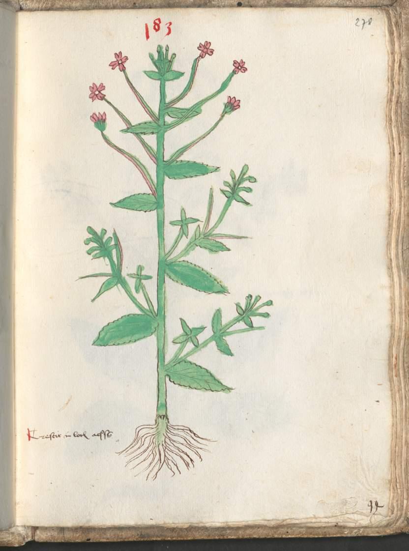 Image 00559