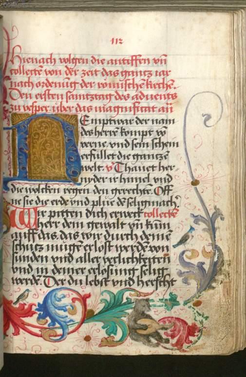 Image 00249