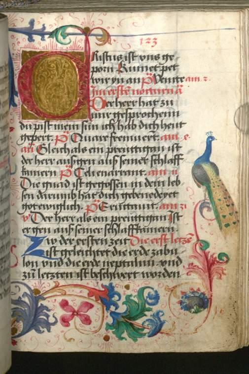 Image 00269
