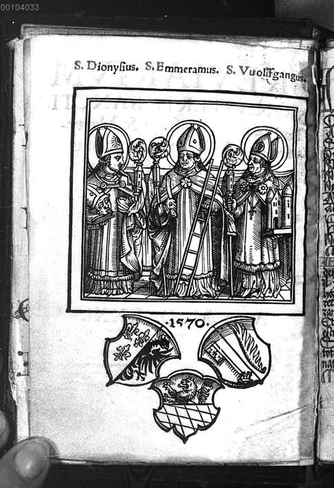 Image 00010