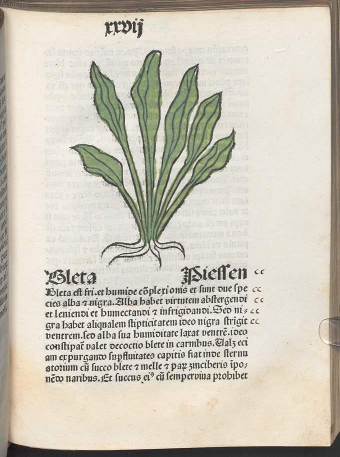 Image 00063
