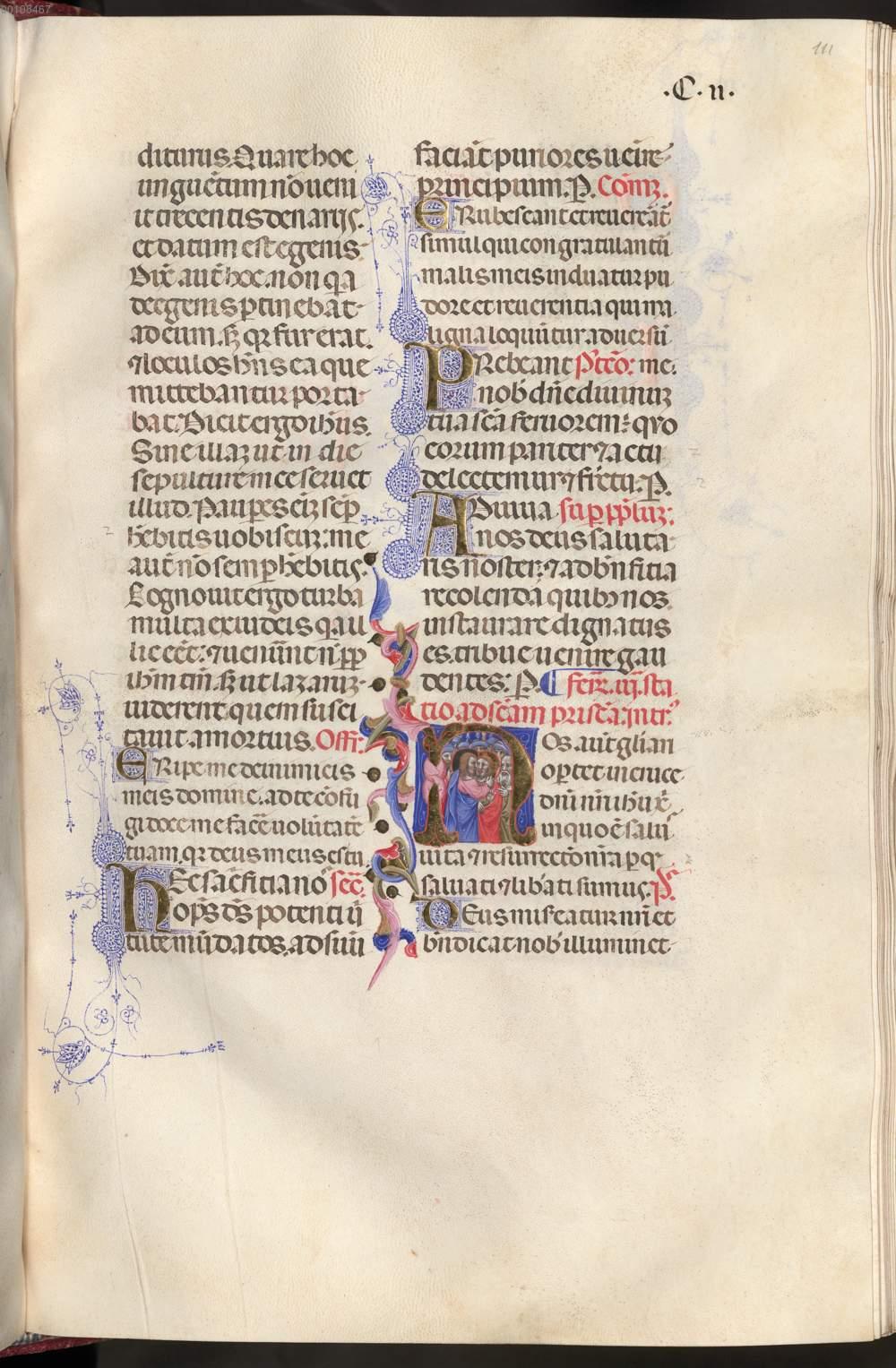 Image 00228