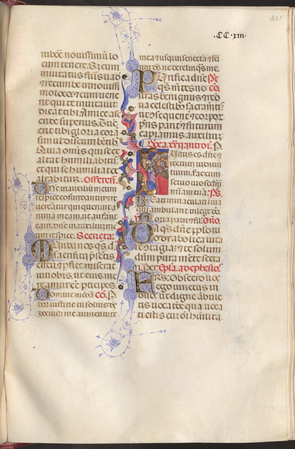 Image 00456