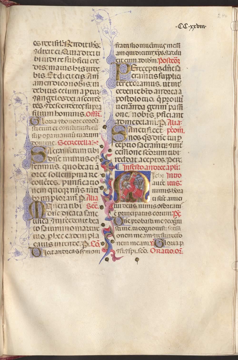 Image 00486