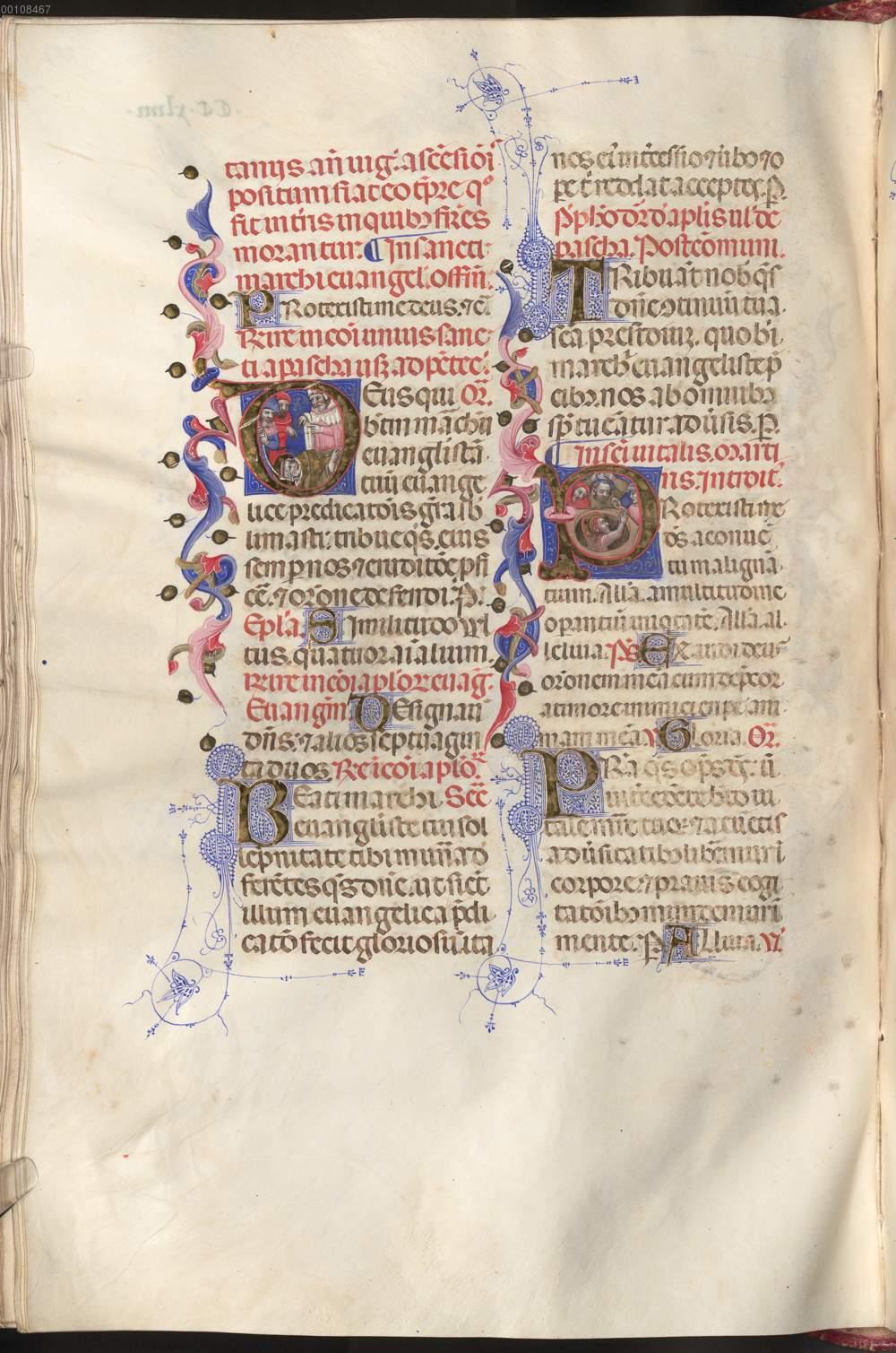 Image 00521