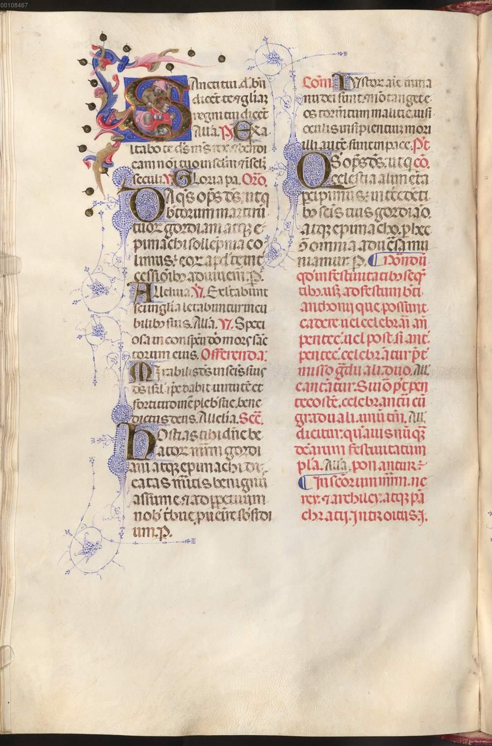 Image 00527