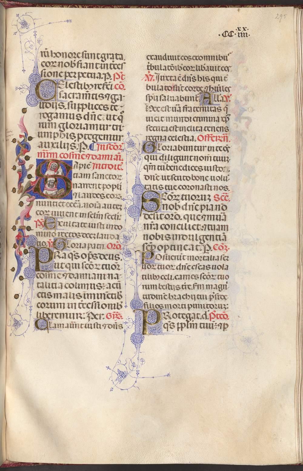 Image 00596
