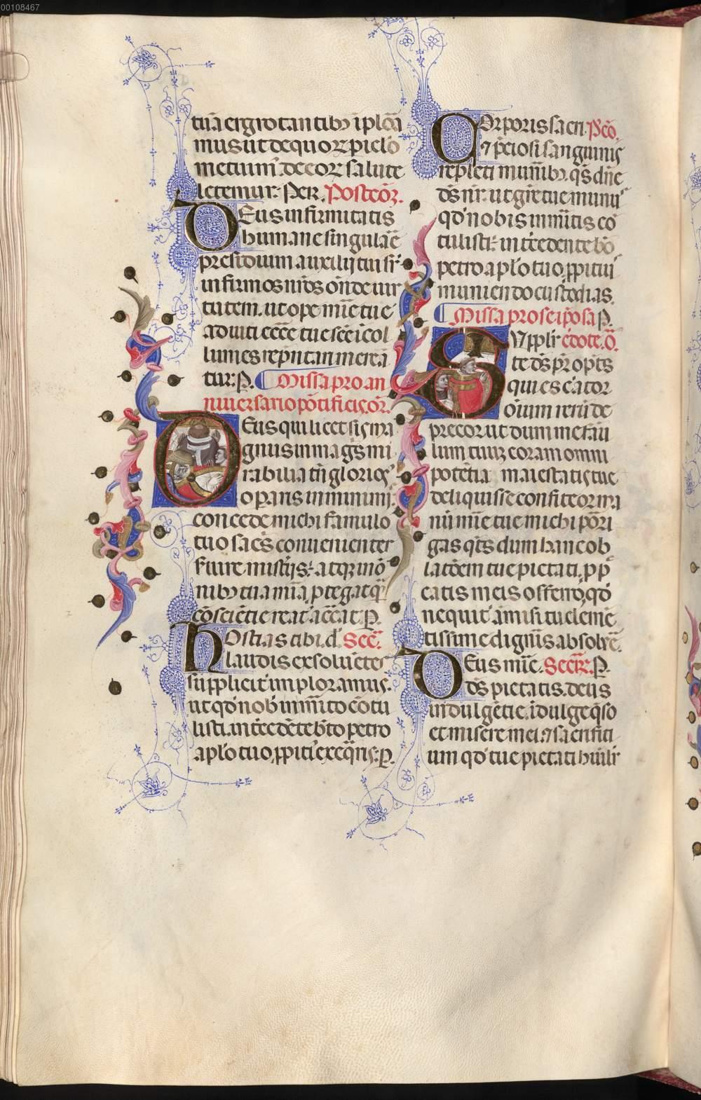 Image 00687
