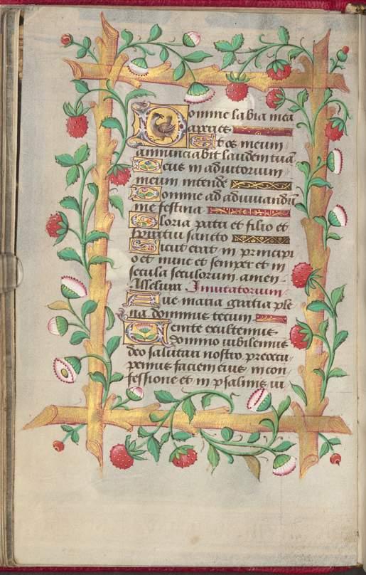 Image 00050