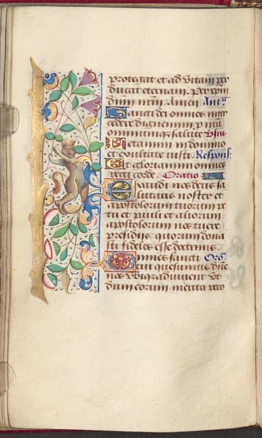 Image 00144