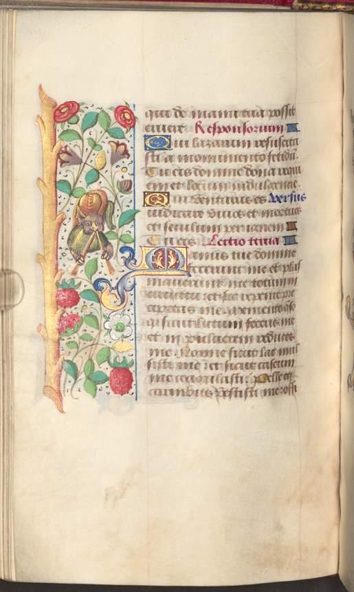 Image 00232