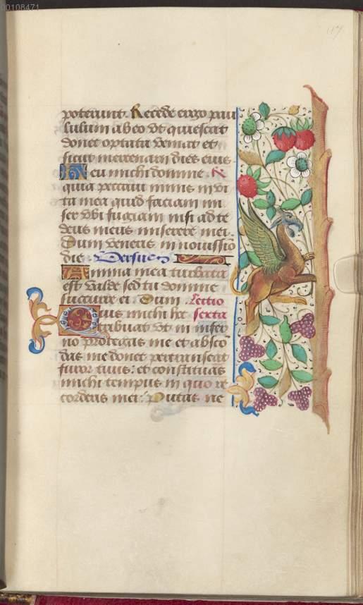 Image 00245
