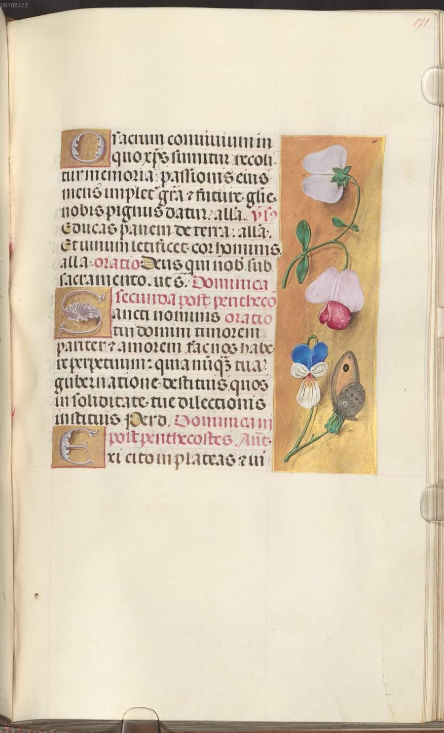 Image 00345
