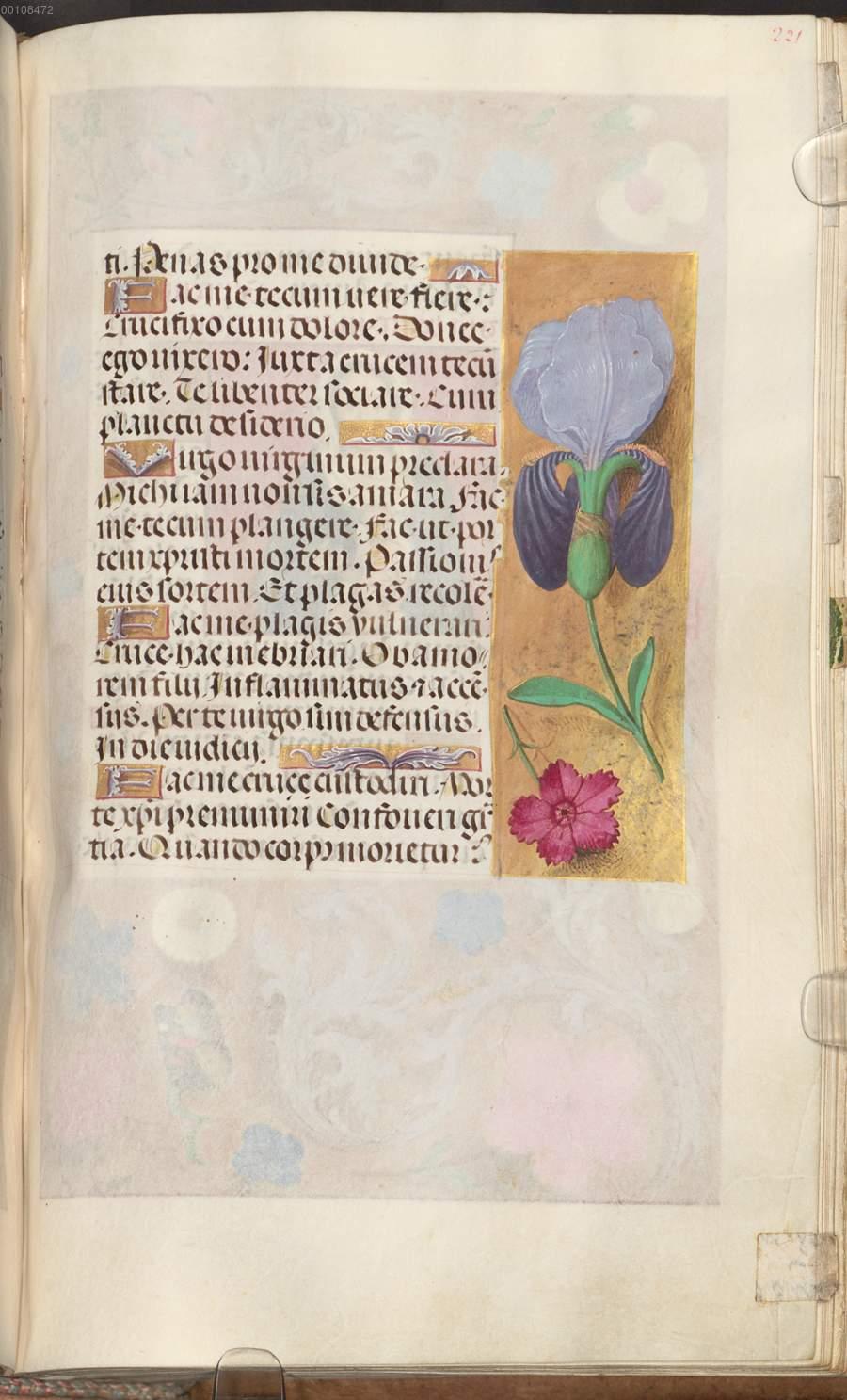 verzierte randleiste auf goldgrund schwertlilie nelke aus stundenbuch livre d heures bsb clm 28345 ende 15 jh digitalisiertes buch aus dem urheberrechtsfreien bestand der bayerischen staatsbibliothek munchen deutschland 2007 2021