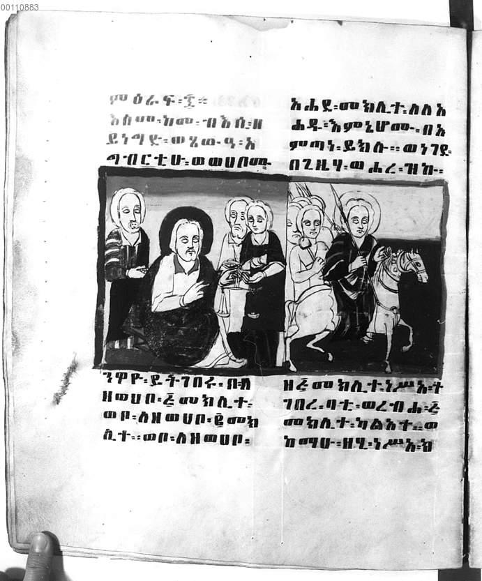 Image 00142
