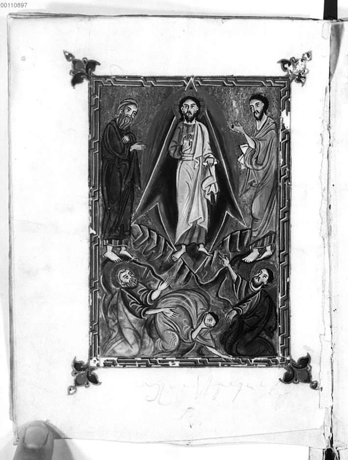 Image 00018