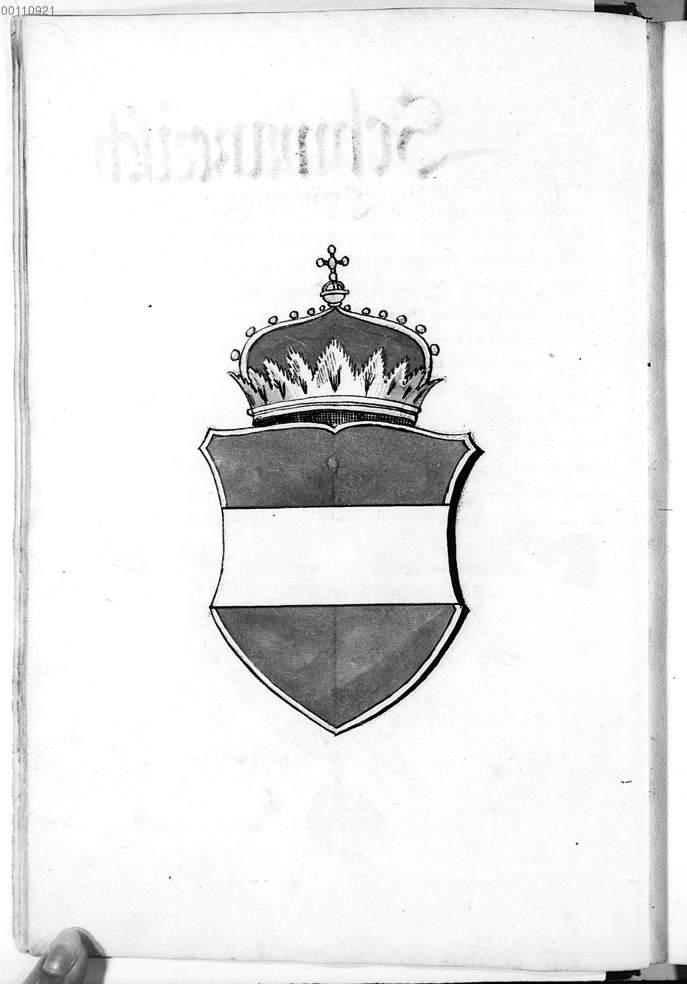 Image 00020
