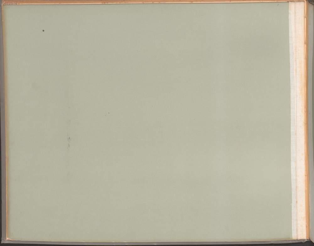 Image 00010