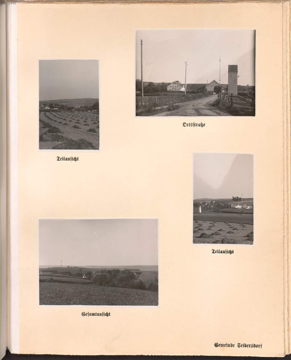 Image 00071
