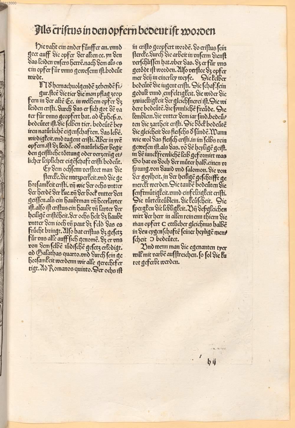Image 00091