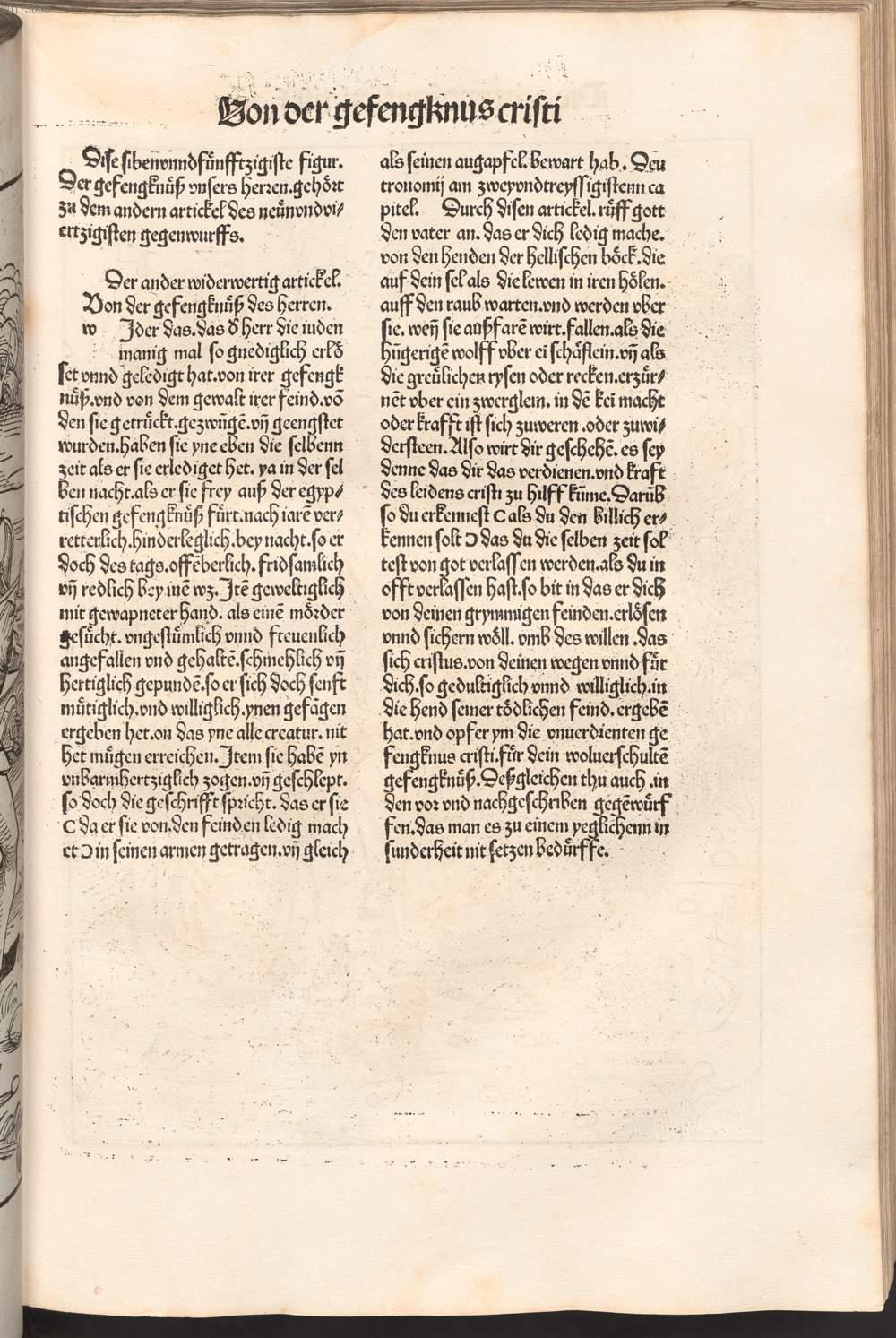 Image 00217