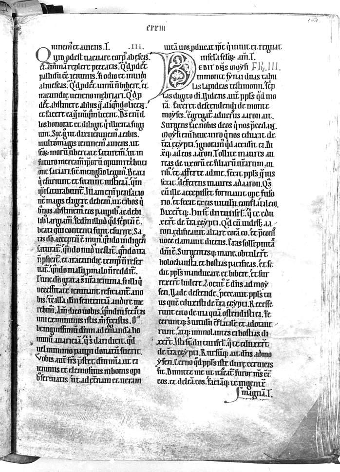 Image 00338