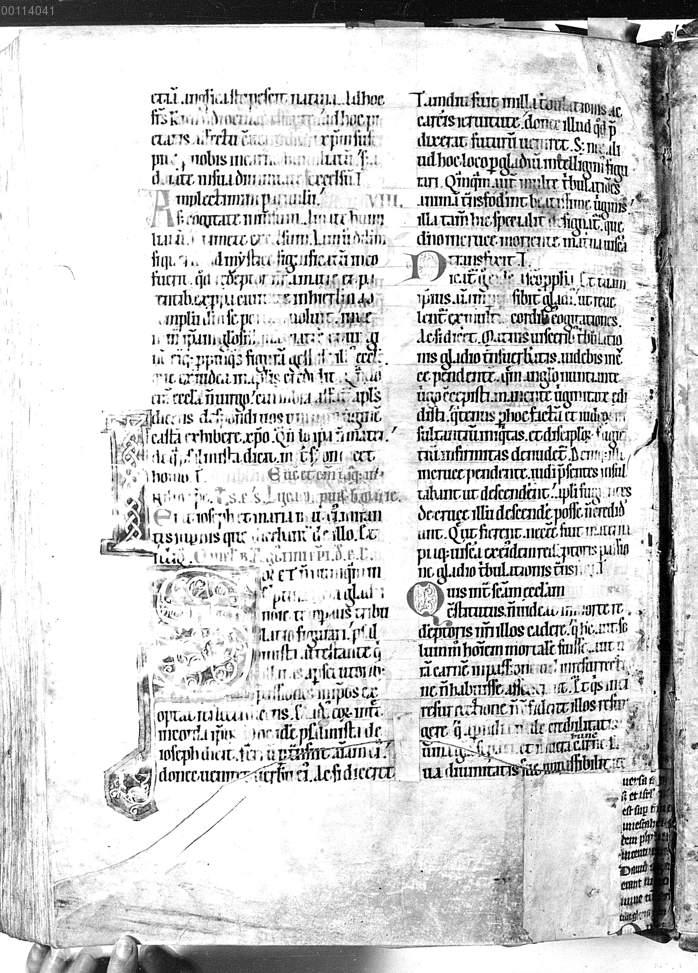 Image 00941