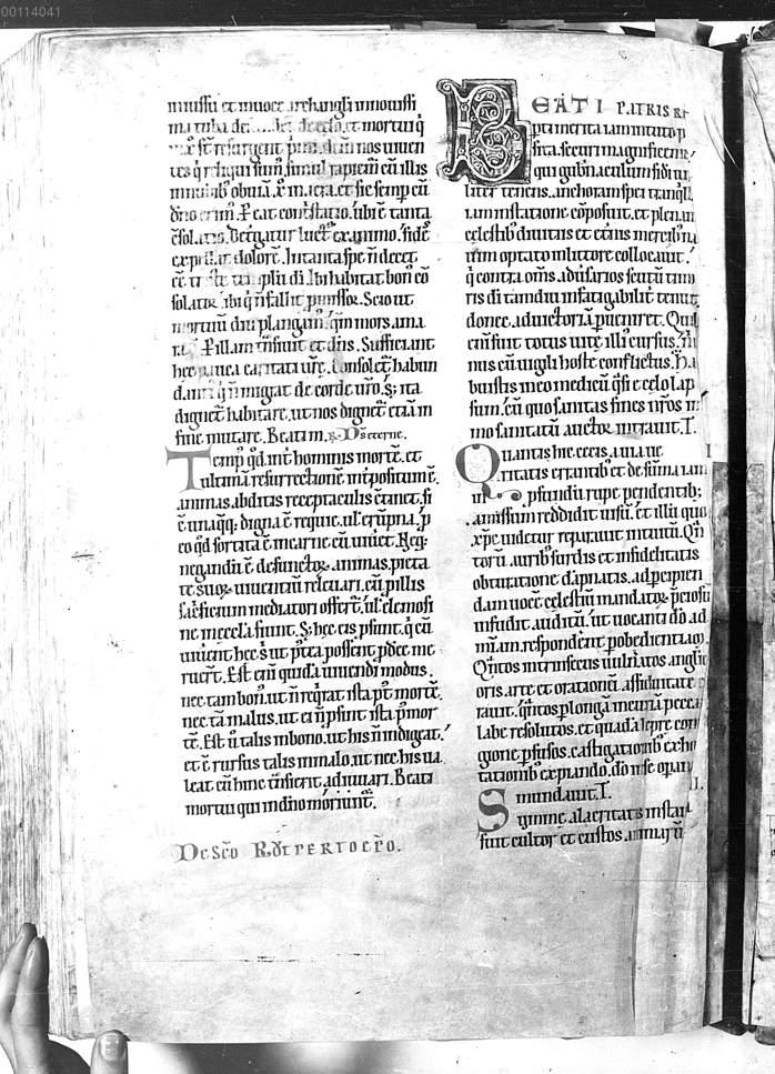 Image 00945