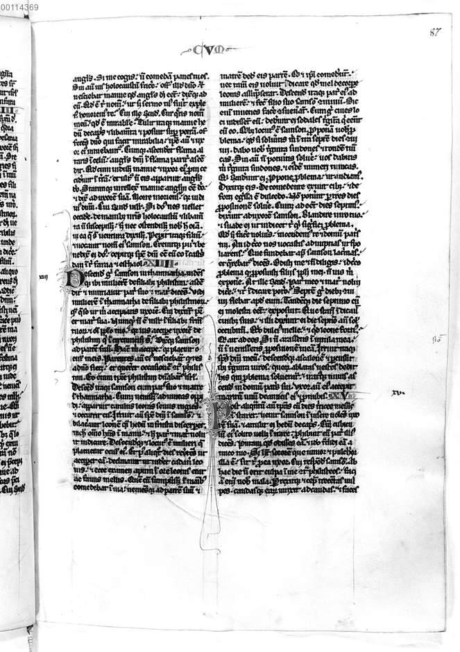 Image 00175