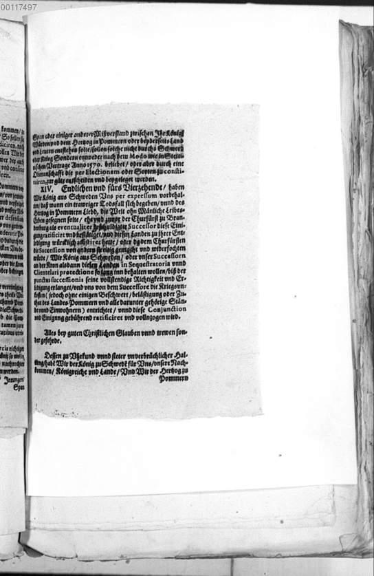 Image 01073