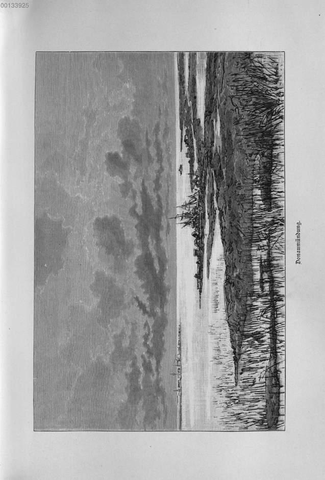 Image 00083