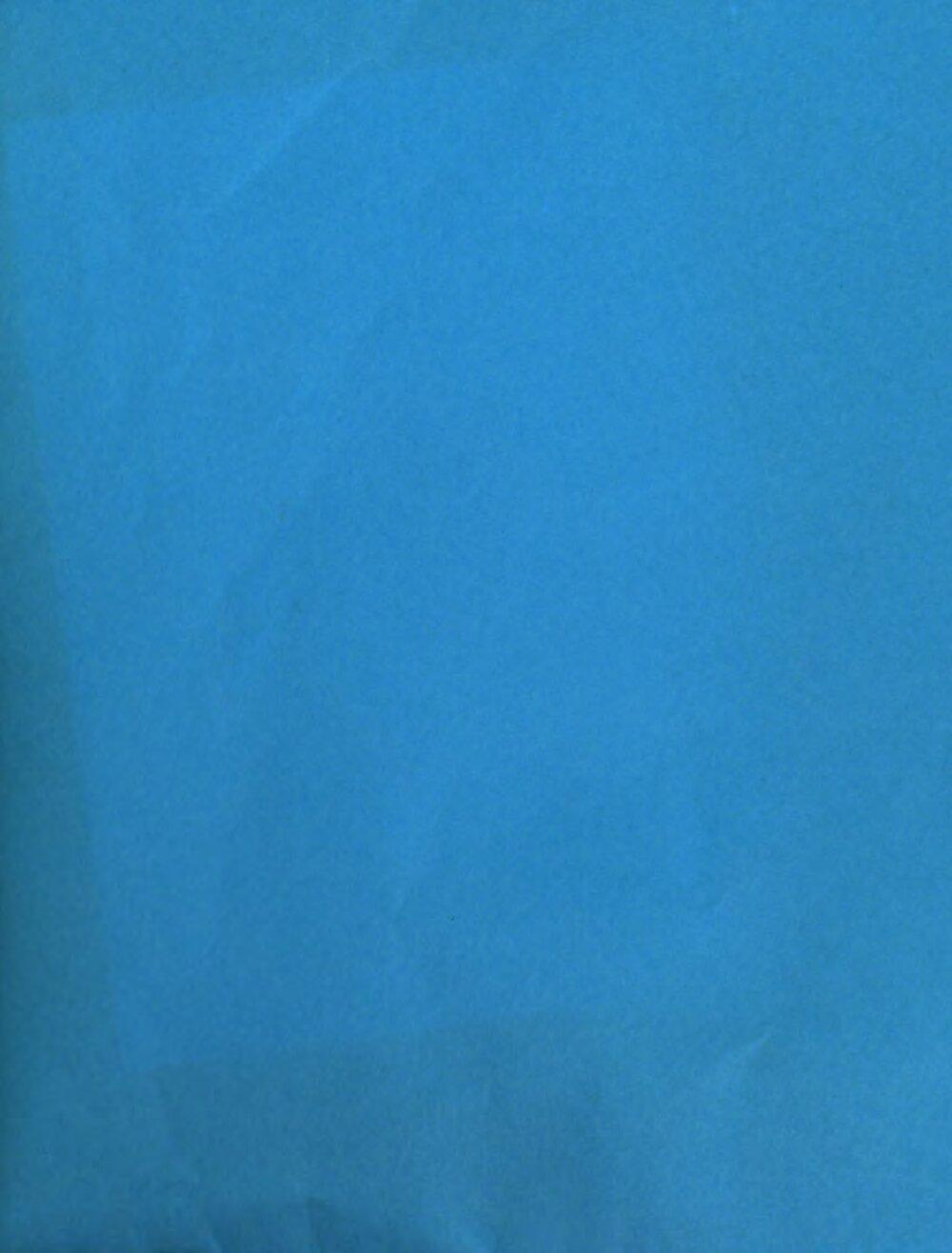 Image 00593