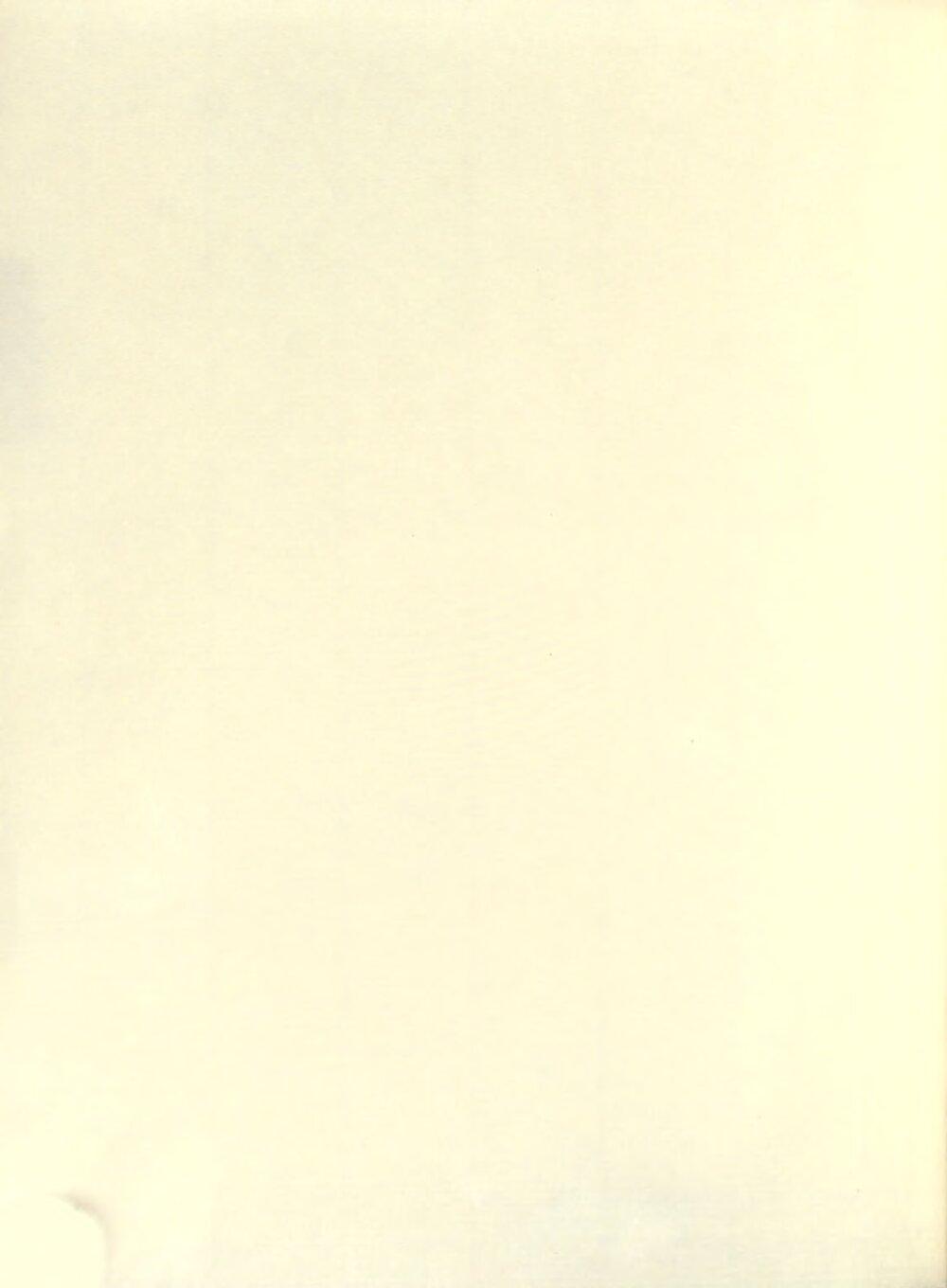 Image 00004