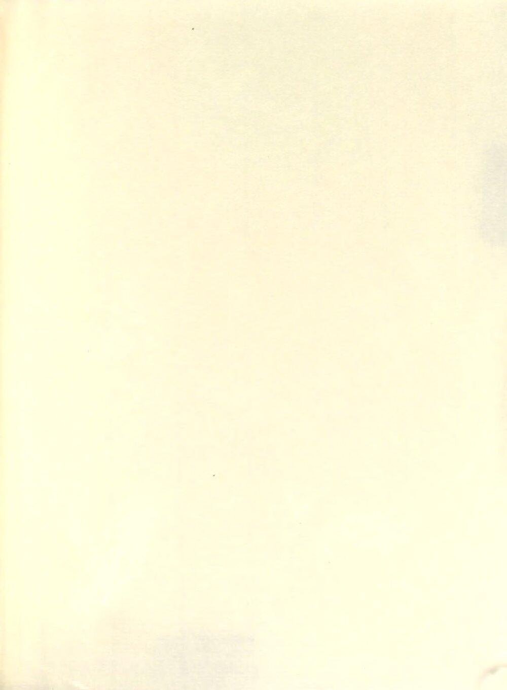 Image 00553