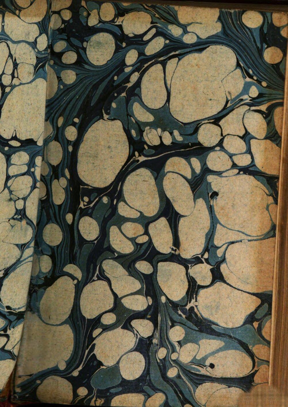 Image 00003
