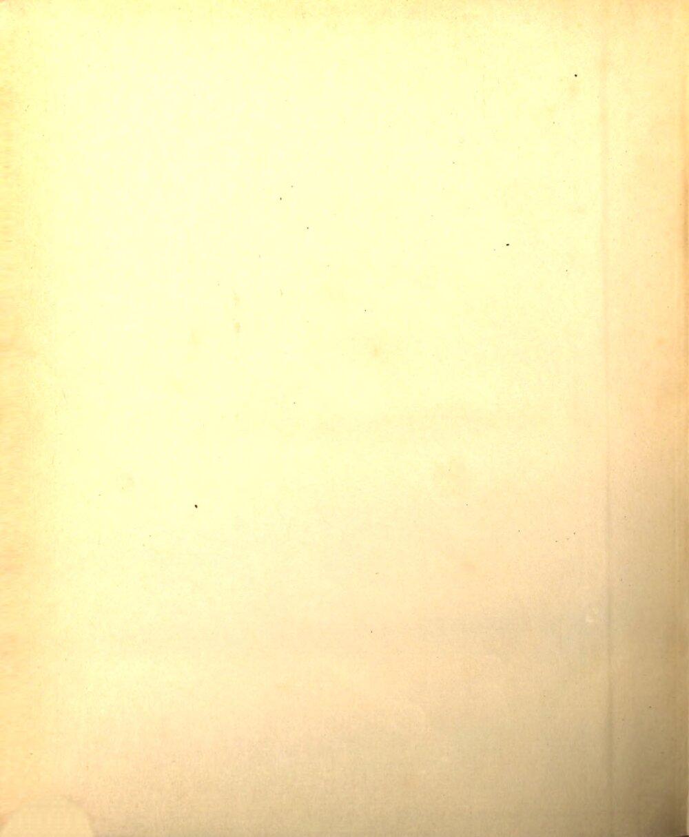 Image 00320