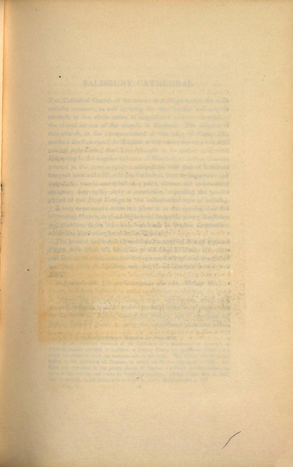 Image 00033