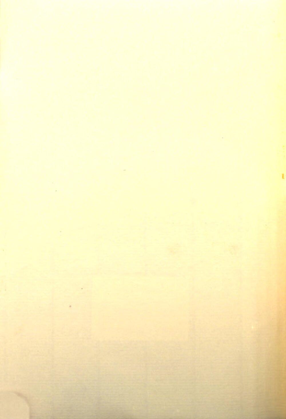 Image 00002